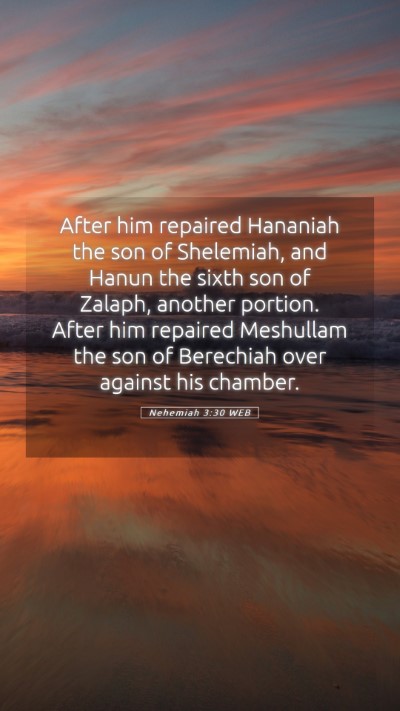 Picture 05 - Nehemiah 3:30 WEB Mobile Phone Wallpaper - After him repaired Hananiah the son of Shelemiah, - Mobile Bible Verse Wallpaper