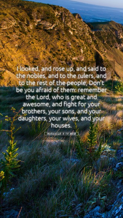 Picture 05 - Nehemiah 4:14 WEB Mobile Phone Wallpaper - I looked, and rose up, and said to the nobles, - Mobile Bible Verse Wallpaper
