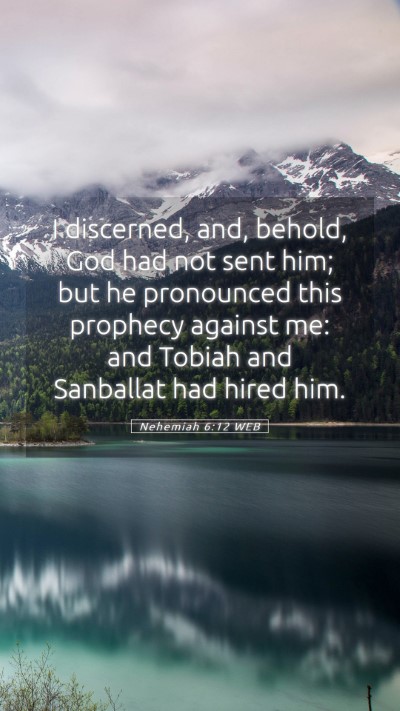 Picture 05 - Nehemiah 6:12 WEB Mobile Phone Wallpaper - I discerned, and, behold, God had not sent him; - Mobile Bible Verse Wallpaper