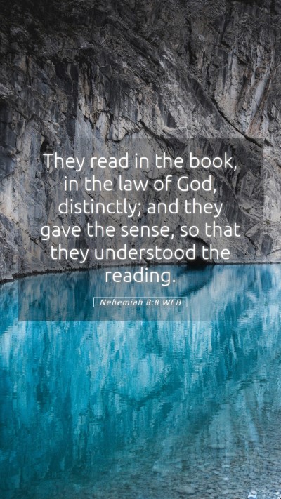 Picture 05 - Nehemiah 8:8 WEB Mobile Phone Wallpaper - They read in the book, in the law of God, - Mobile Bible Verse Wallpaper