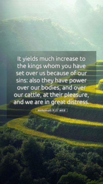 Picture 05 - Nehemiah 9:37 WEB Mobile Phone Wallpaper - It yields much increase to the kings whom you - Mobile Bible Verse Wallpaper