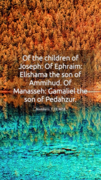Picture 05 - Numbers 1:10 WEB Mobile Phone Wallpaper - Of the children of Joseph: Of Ephraim: Elishama - Mobile Bible Verse Wallpaper