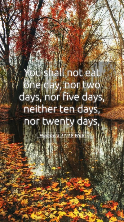 Picture 05 - Numbers 11:19 WEB Mobile Phone Wallpaper - You shall not eat one day, nor two days, nor five - Mobile Bible Verse Wallpaper