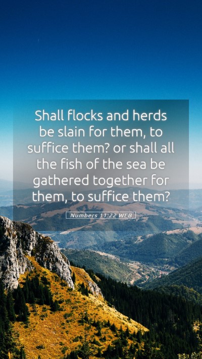 Picture 05 - Numbers 11:22 WEB Mobile Phone Wallpaper - Shall flocks and herds be slain for them, to - Mobile Bible Verse Wallpaper