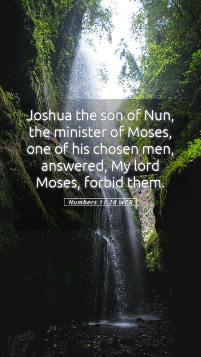 Picture 05 - Numbers 11:28 WEB Mobile Phone Wallpaper - Joshua the son of Nun, the minister of Moses, one - Mobile Bible Verse Wallpaper