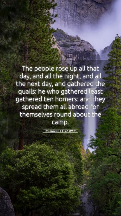 Picture 05 - Numbers 11:32 WEB Mobile Phone Wallpaper - The people rose up all that day, and all the - Mobile Bible Verse Wallpaper