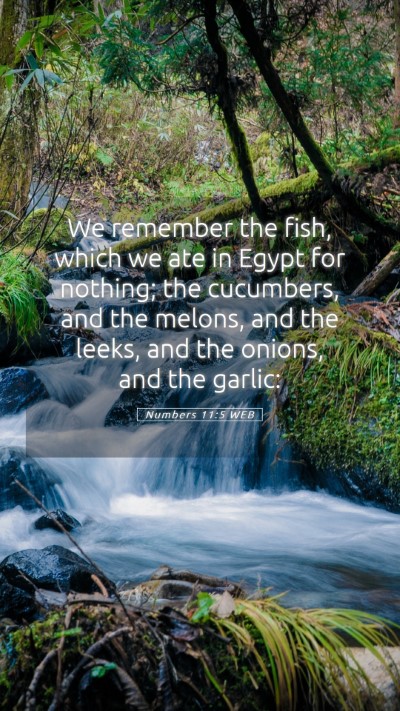 Picture 05 - Numbers 11:5 WEB Mobile Phone Wallpaper - We remember the fish, which we ate in Egypt for - Mobile Bible Verse Wallpaper