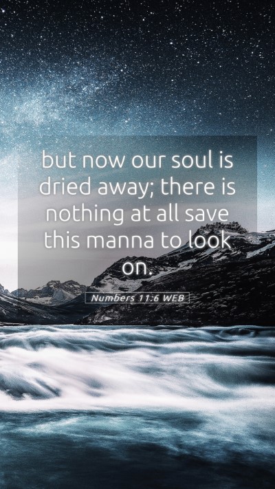 Picture 05 - Numbers 11:6 WEB Mobile Phone Wallpaper - but now our soul is dried away; there is nothing - Mobile Bible Verse Wallpaper