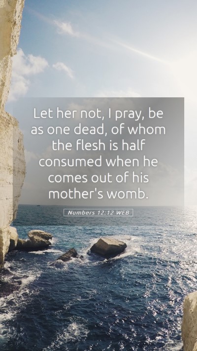 Picture 05 - Numbers 12:12 WEB Mobile Phone Wallpaper - Let her not, I pray, be as one dead, of whom the - Mobile Bible Verse Wallpaper