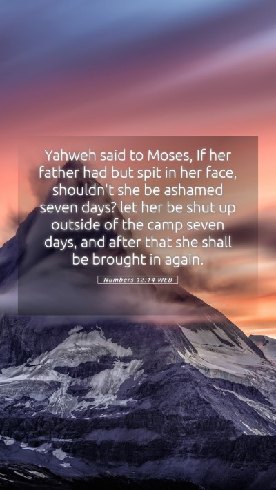 Picture 05 - Numbers 12:14 WEB Mobile Phone Wallpaper - Yahweh said to Moses, If her father had but spit - Mobile Bible Verse Wallpaper