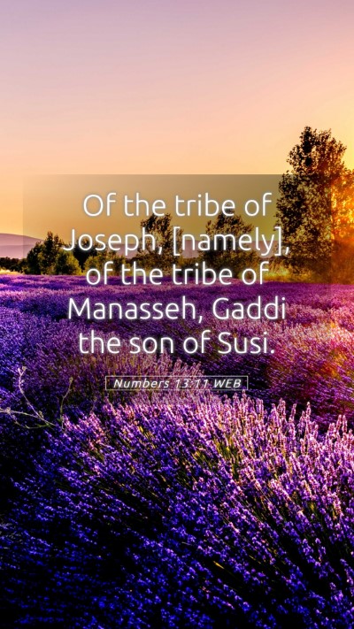 Picture 05 - Numbers 13:11 WEB Mobile Phone Wallpaper - Of the tribe of Joseph, [namely], of the tribe of - Mobile Bible Verse Wallpaper