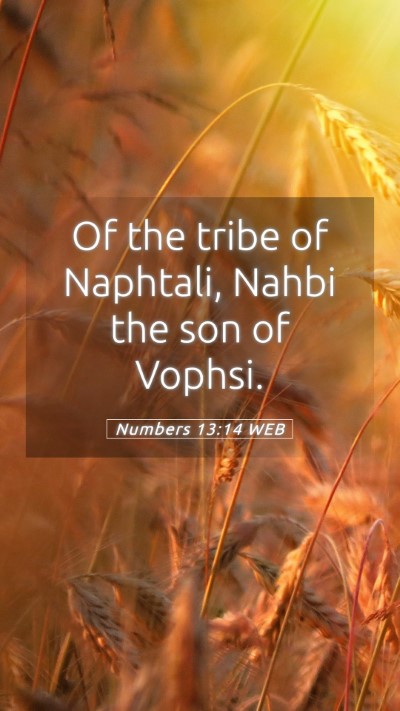 Picture 05 - Numbers 13:14 WEB Mobile Phone Wallpaper - Of the tribe of Naphtali, Nahbi the son of - Mobile Bible Verse Wallpaper