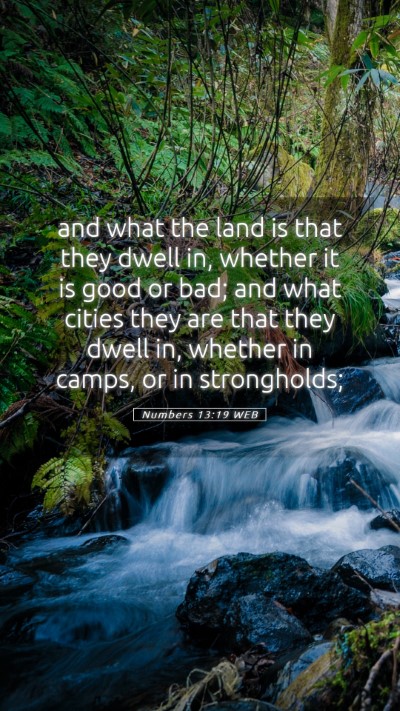 Picture 05 - Numbers 13:19 WEB Mobile Phone Wallpaper - and what the land is that they dwell in, whether - Mobile Bible Verse Wallpaper