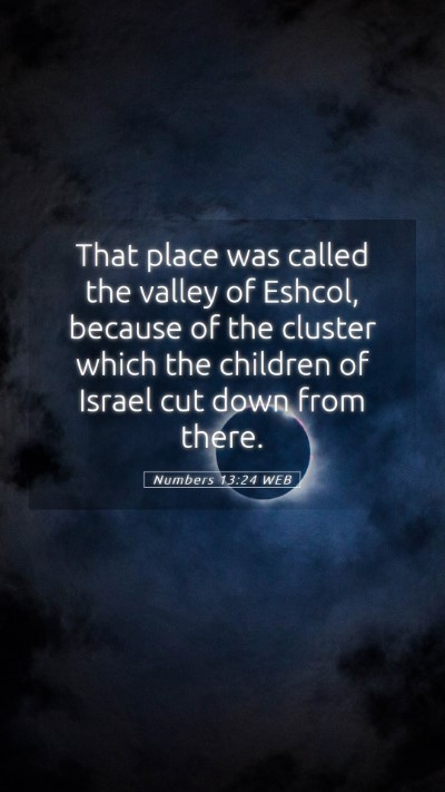 Picture 05 - Numbers 13:24 WEB Mobile Phone Wallpaper - That place was called the valley of Eshcol, - Mobile Bible Verse Wallpaper