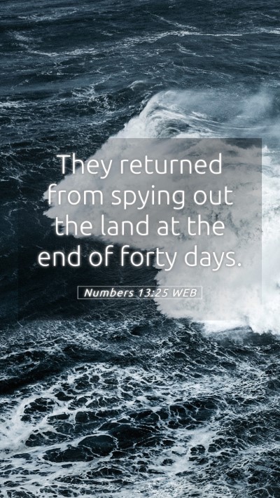 Picture 05 - Numbers 13:25 WEB Mobile Phone Wallpaper - They returned from spying out the land at the end - Mobile Bible Verse Wallpaper