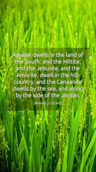 Picture 05 - Numbers 13:29 WEB Mobile Phone Wallpaper - Amalek dwells in the land of the South: and the - Mobile Bible Verse Wallpaper