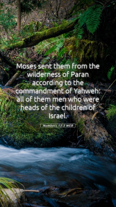 Picture 05 - Numbers 13:3 WEB Mobile Phone Wallpaper - Moses sent them from the wilderness of Paran - Mobile Bible Verse Wallpaper