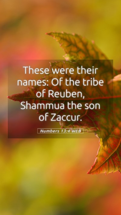 Picture 05 - Numbers 13:4 WEB Mobile Phone Wallpaper - These were their names: Of the tribe of Reuben, - Mobile Bible Verse Wallpaper