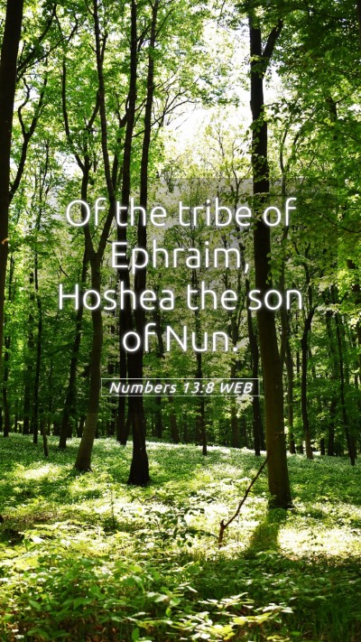 Picture 05 - Numbers 13:8 WEB Mobile Phone Wallpaper - Of the tribe of Ephraim, Hoshea the son of - Mobile Bible Verse Wallpaper
