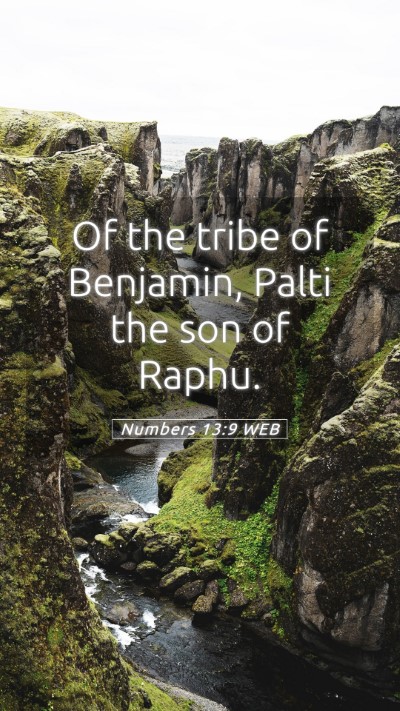 Picture 05 - Numbers 13:9 WEB Mobile Phone Wallpaper - Of the tribe of Benjamin, Palti the son of - Mobile Bible Verse Wallpaper