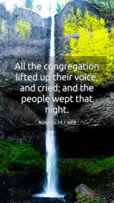 Picture 05 - Numbers 14:1 WEB Mobile Phone Wallpaper - All the congregation lifted up their voice, and - Mobile Bible Verse Wallpaper