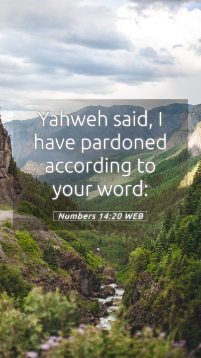 Picture 05 - Numbers 14:20 WEB Mobile Phone Wallpaper - Yahweh said, I have pardoned according to your - Mobile Bible Verse Wallpaper
