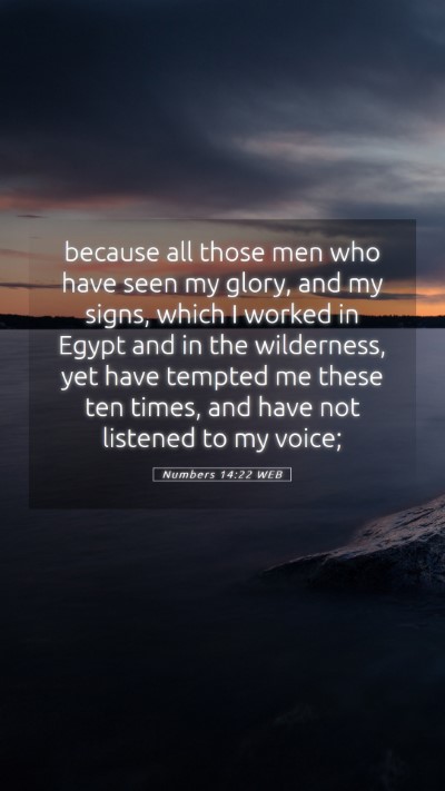 Picture 05 - Numbers 14:22 WEB Mobile Phone Wallpaper - because all those men who have seen my glory, and - Mobile Bible Verse Wallpaper