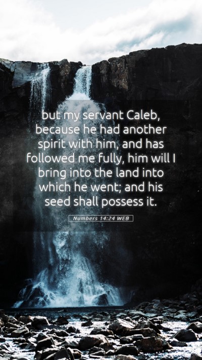 Picture 05 - Numbers 14:24 WEB Mobile Phone Wallpaper - but my servant Caleb, because he had another - Mobile Bible Verse Wallpaper
