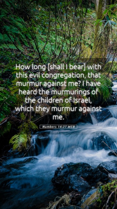 Picture 05 - Numbers 14:27 WEB Mobile Phone Wallpaper - How long [shall I bear] with this evil - Mobile Bible Verse Wallpaper