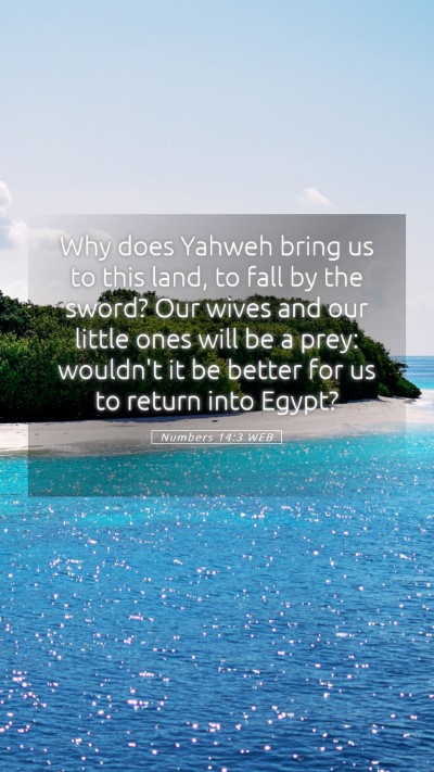 Picture 05 - Numbers 14:3 WEB Mobile Phone Wallpaper - Why does Yahweh bring us to this land, to fall by - Mobile Bible Verse Wallpaper