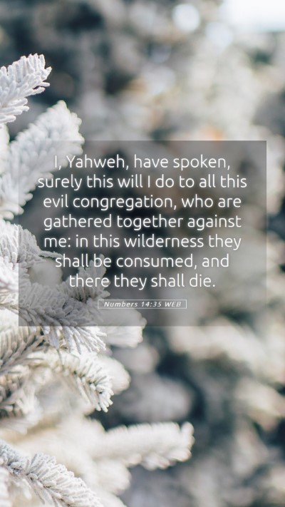 Picture 05 - Numbers 14:35 WEB Mobile Phone Wallpaper - I, Yahweh, have spoken, surely this will I do to - Mobile Bible Verse Wallpaper