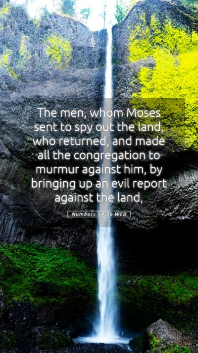 Picture 05 - Numbers 14:36 WEB Mobile Phone Wallpaper - The men, whom Moses sent to spy out the land, who - Mobile Bible Verse Wallpaper
