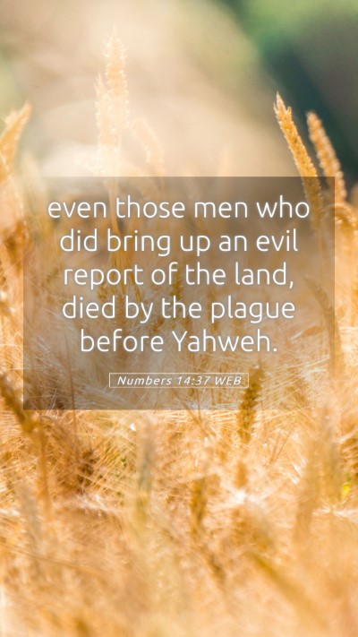 Picture 05 - Numbers 14:37 WEB Mobile Phone Wallpaper - even those men who did bring up an evil report of - Mobile Bible Verse Wallpaper