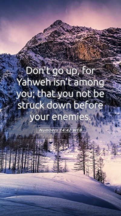 Picture 05 - Numbers 14:42 WEB Mobile Phone Wallpaper - Don't go up, for Yahweh isn't among you; that you - Mobile Bible Verse Wallpaper