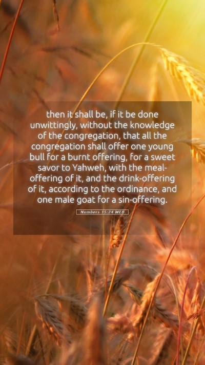 Picture 05 - Numbers 15:24 WEB Mobile Phone Wallpaper - then it shall be, if it be done unwittingly, - Mobile Bible Verse Wallpaper