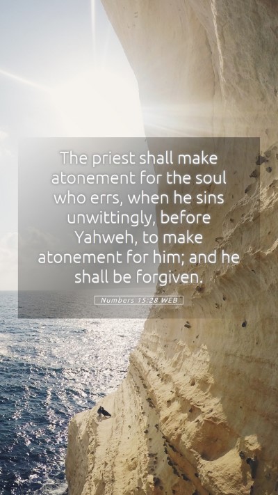Picture 05 - Numbers 15:28 WEB Mobile Phone Wallpaper - The priest shall make atonement for the soul who - Mobile Bible Verse Wallpaper