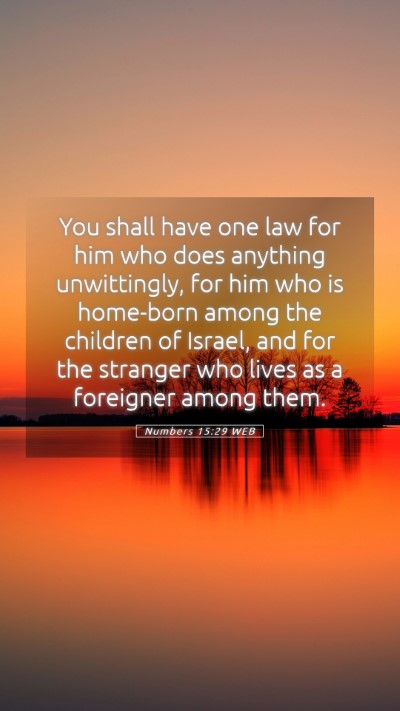 Picture 05 - Numbers 15:29 WEB Mobile Phone Wallpaper - You shall have one law for him who does anything - Mobile Bible Verse Wallpaper
