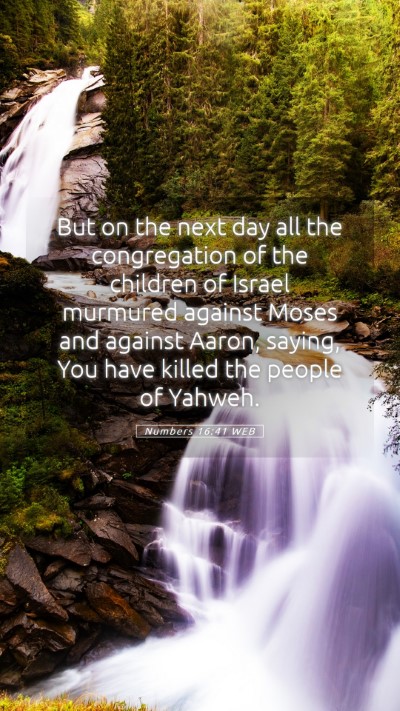 Picture 05 - Numbers 16:41 WEB Mobile Phone Wallpaper - But on the next day all the congregation of the - Mobile Bible Verse Wallpaper