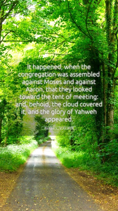 Picture 05 - Numbers 16:42 WEB Mobile Phone Wallpaper - It happened, when the congregation was assembled - Mobile Bible Verse Wallpaper