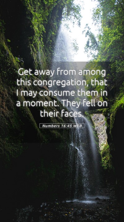 Picture 05 - Numbers 16:45 WEB Mobile Phone Wallpaper - Get away from among this congregation, that I may - Mobile Bible Verse Wallpaper