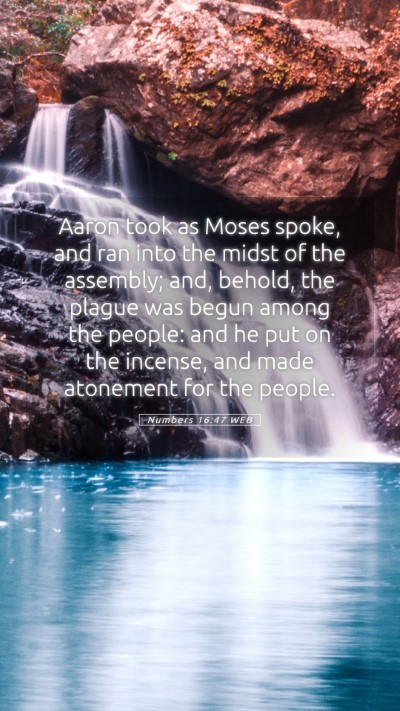 Picture 05 - Numbers 16:47 WEB Mobile Phone Wallpaper - Aaron took as Moses spoke, and ran into the midst - Mobile Bible Verse Wallpaper