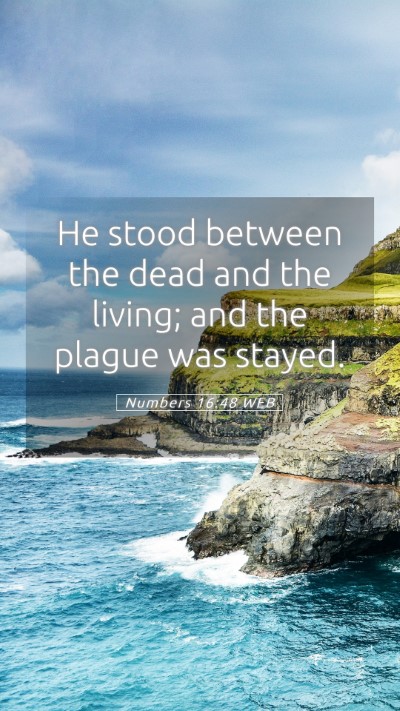 Picture 05 - Numbers 16:48 WEB Mobile Phone Wallpaper - He stood between the dead and the living; and the - Mobile Bible Verse Wallpaper