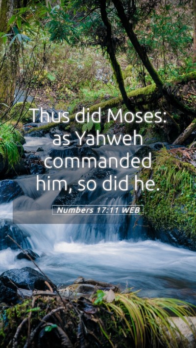 Picture 05 - Numbers 17:11 WEB Mobile Phone Wallpaper - Thus did Moses: as Yahweh commanded him, so did - Mobile Bible Verse Wallpaper