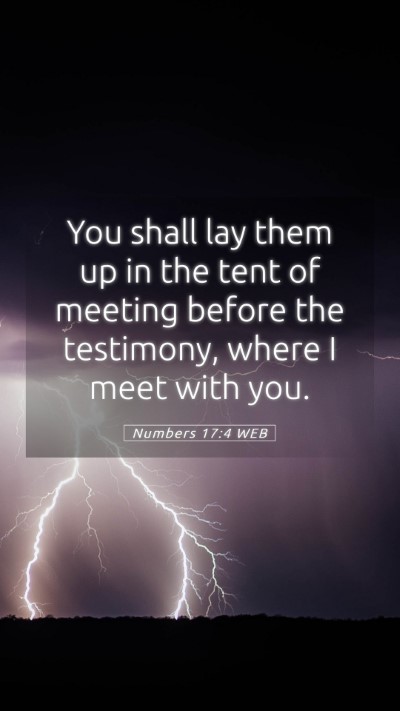 Picture 05 - Numbers 17:4 WEB Mobile Phone Wallpaper - You shall lay them up in the tent of meeting - Mobile Bible Verse Wallpaper