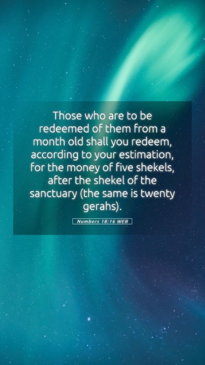 Picture 05 - Numbers 18:16 WEB Mobile Phone Wallpaper - Those who are to be redeemed of them from a month - Mobile Bible Verse Wallpaper