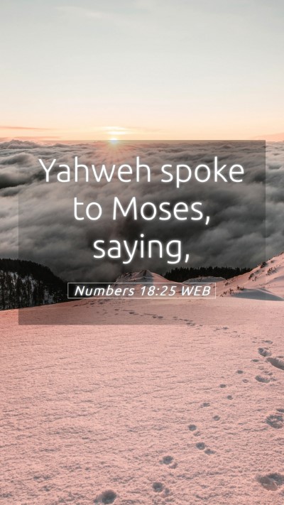 Picture 05 - Numbers 18:25 WEB Mobile Phone Wallpaper - Yahweh spoke to Moses, - Mobile Bible Verse Wallpaper
