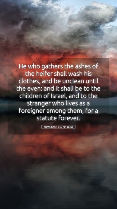Picture 05 - Numbers 19:10 WEB Mobile Phone Wallpaper - He who gathers the ashes of the heifer shall wash - Mobile Bible Verse Wallpaper