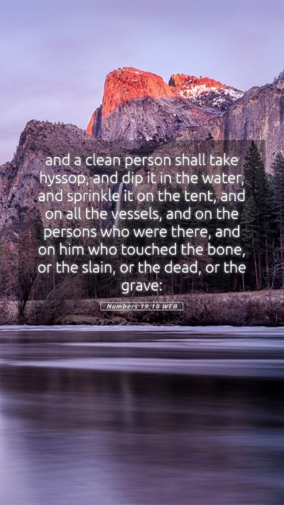 Picture 05 - Numbers 19:18 WEB Mobile Phone Wallpaper - and a clean person shall take hyssop, and dip it - Mobile Bible Verse Wallpaper