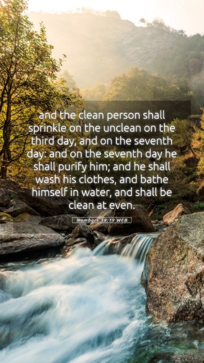 Picture 05 - Numbers 19:19 WEB Mobile Phone Wallpaper - and the clean person shall sprinkle on the - Mobile Bible Verse Wallpaper