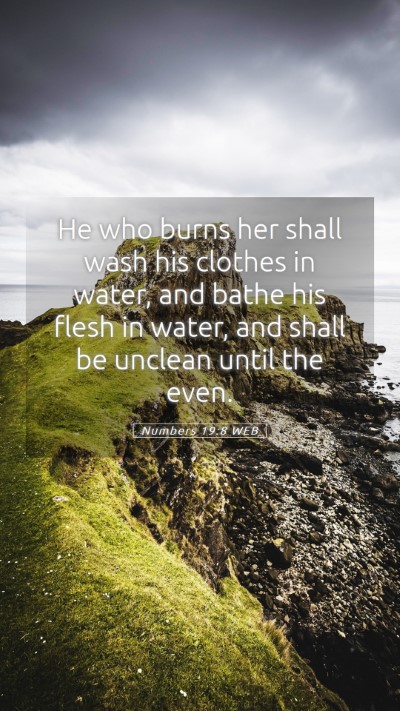 Picture 05 - Numbers 19:8 WEB Mobile Phone Wallpaper - He who burns her shall wash his clothes in water, - Mobile Bible Verse Wallpaper
